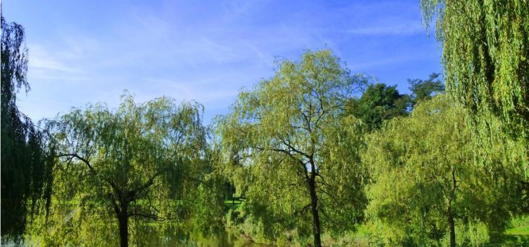 Bilderrätsel Hingeschaut Bilderrätsel Hingeschaut