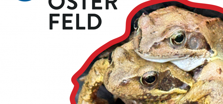 UNTERSTÜTZUNG FÜR DEN AMPHIBIENSCHUTZ AM REVIERPARK VONDERORT GESUCHT