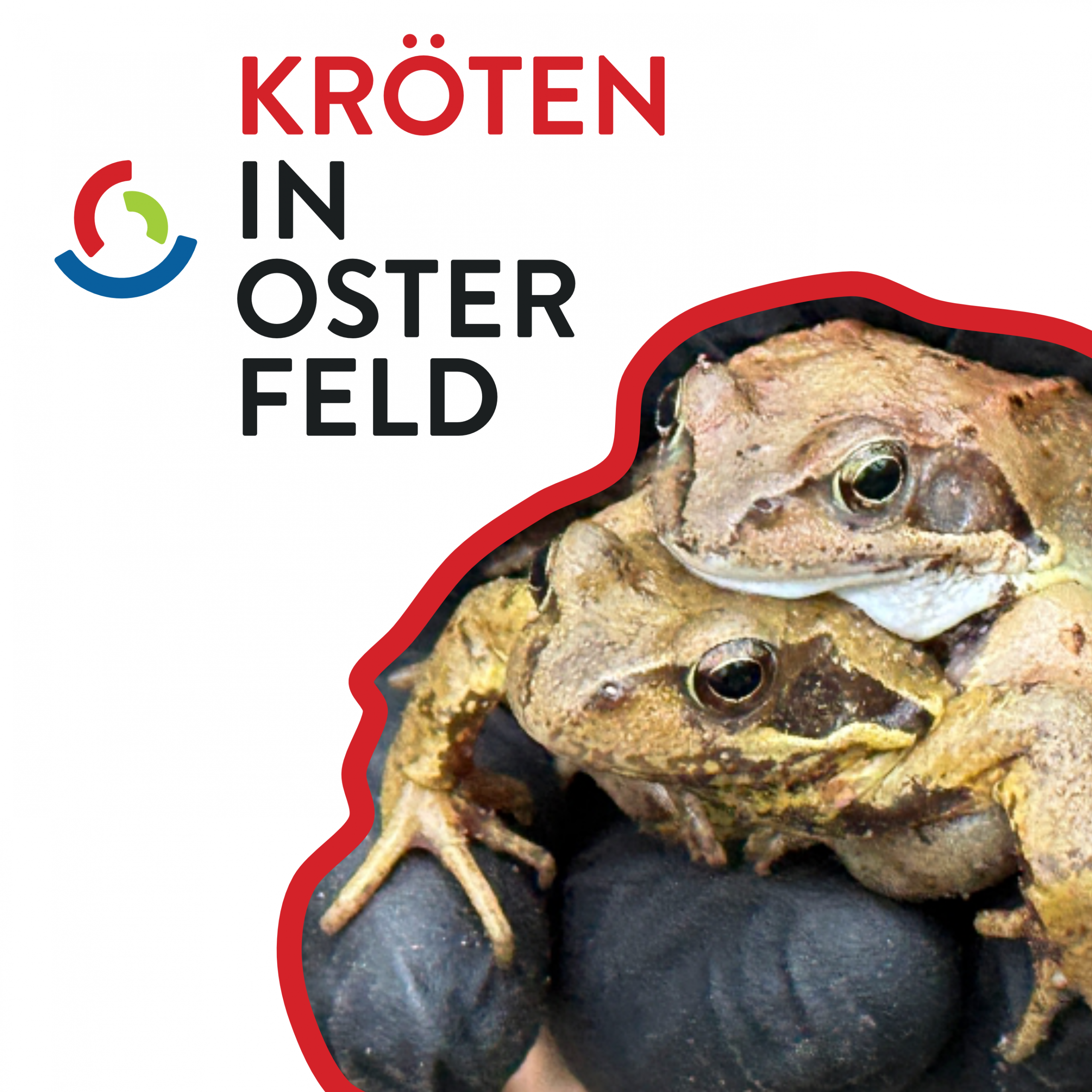 UNTERSTÜTZUNG FÜR DEN AMPHIBIENSCHUTZ AM REVIERPARK VONDERORT GESUCHT