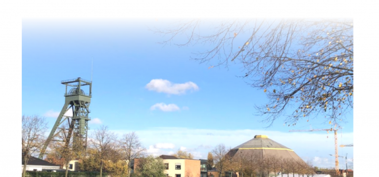 NEWSLETTER SOZIALER ZUSAMMENHALT 31 NEWSLETTER SOZIALER ZUSAMMENHALT 31