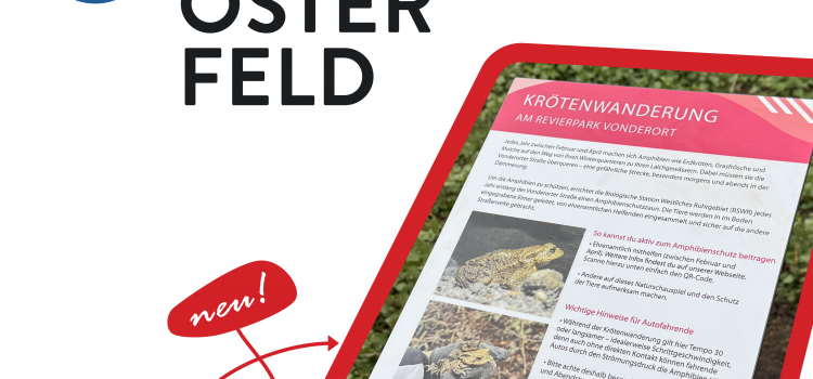 NEUE INFORMATIONSSCHILDER ZUR AMPHIBIENWANDERUNG IM REVIERPARK NEUE INFORMATIONSSCHILDER ZUR AMPHIBIENWANDERUNG IM REVIERPARK